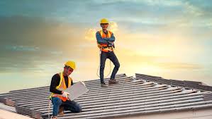 Best Roof Moss and Algae Removal  in Dwight, IL